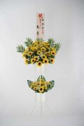 ヒマワリ立花