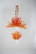 モミジ立花