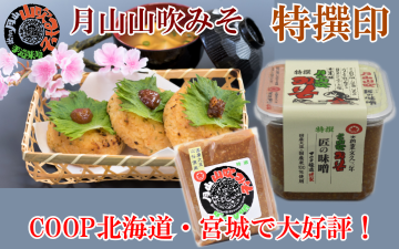 特撰印トップ