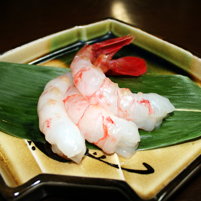 ボタンエビ　ボタンえび