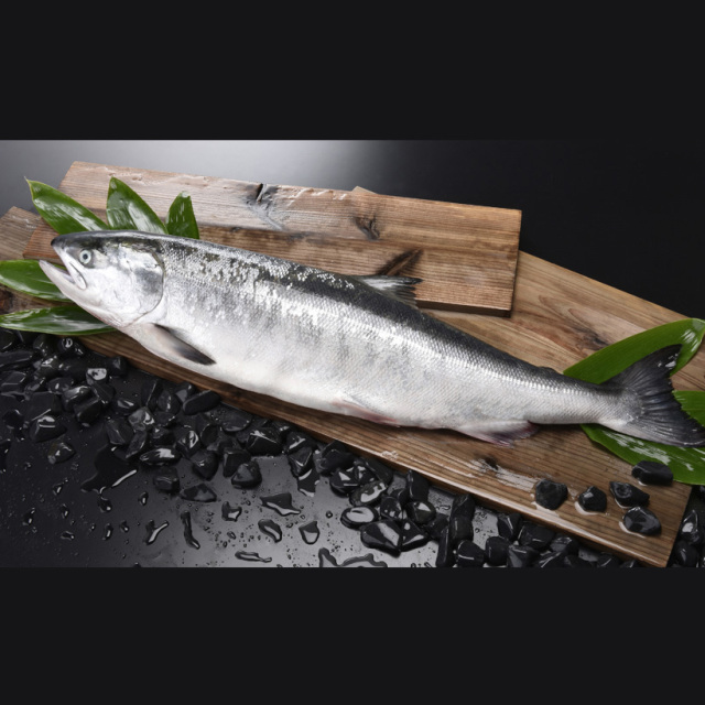 天然めじか鮭