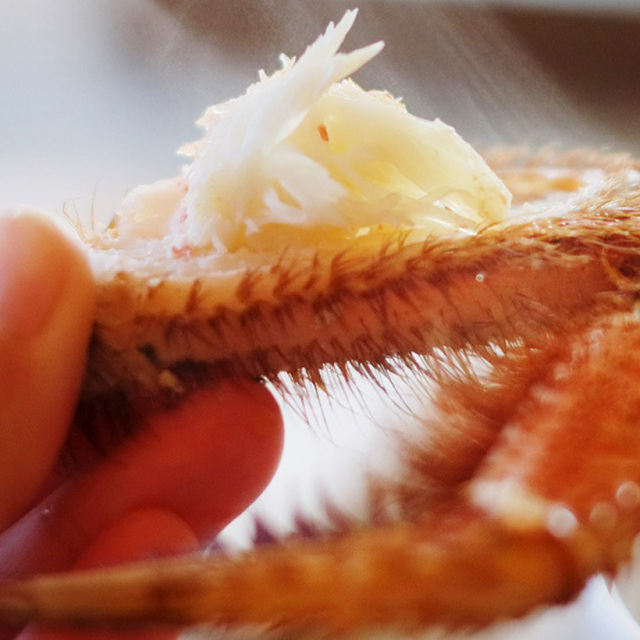 枝幸産毛がに（1尾／約1.2kg） 海産物 産地直送【株式会社 丸高 高田
