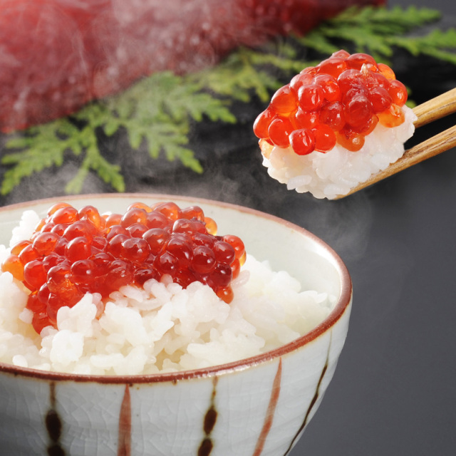 完全熟成甘塩筋子1本入り（約140g～170g） 海産物 産地直送【株式