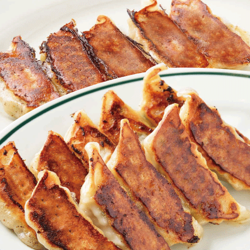 絶品ラー油のもち豚餃子（15個入り）【冷凍】