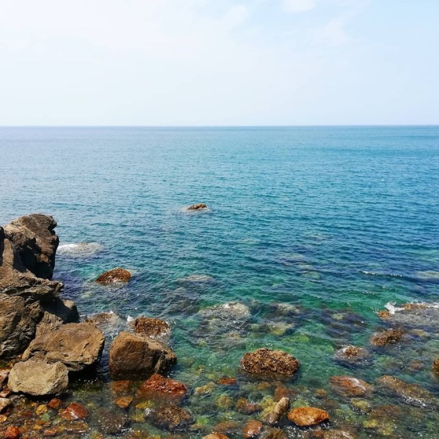 海