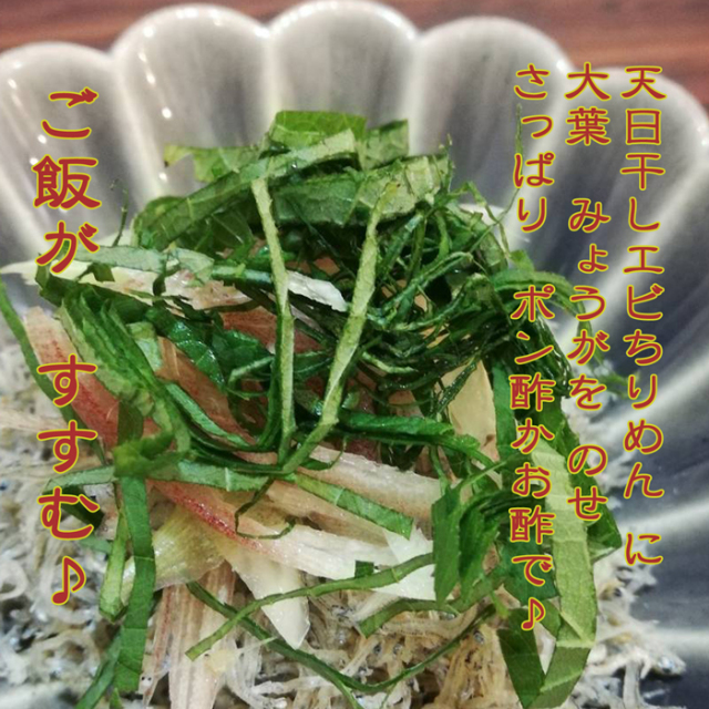 海老I 70 和泉 海老I 70 和泉