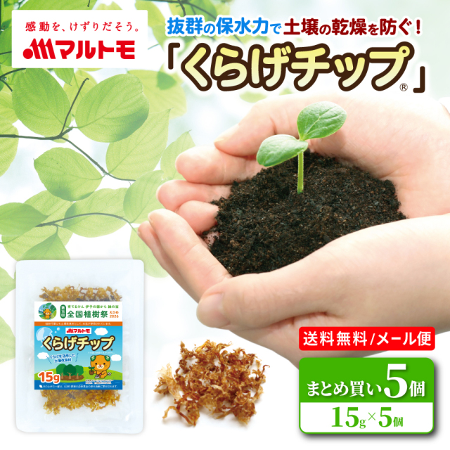【送料無料/メール便】くらげチップ 15g（×5個セット）（非在庫）