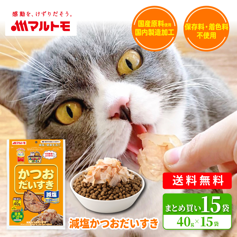 【まとめ買い】減塩かつおだいすき 40g（×15袋）