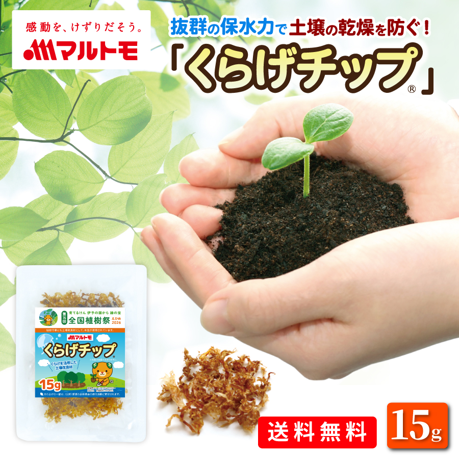 くらげチップ 15g（非在庫/メール便）