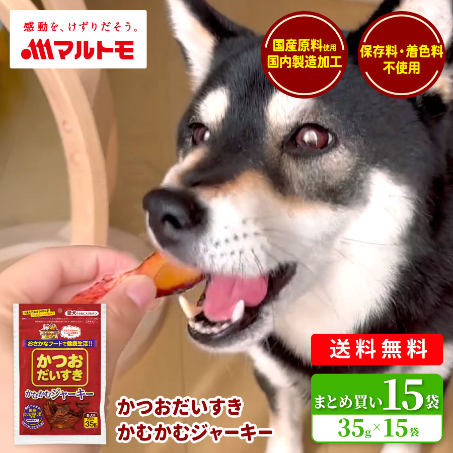 【まとめ買い】かつおだいすき かむかむジャーキー 35g（×15袋）
