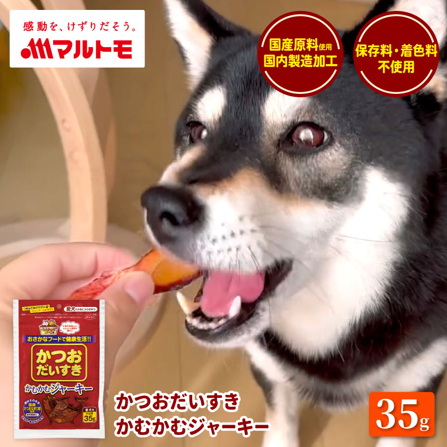 かつおだいすき かむかむジャーキー 35g