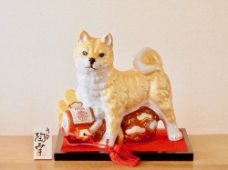 九谷焼 干支 戊 戌 犬 陶幸 マルヨネ
