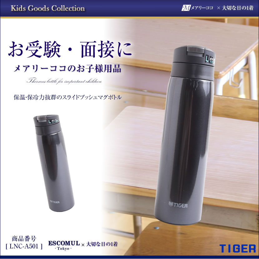 スライドプッシュマグボトル [お受験,面接,学校説明会,学校訪問,女の子,男の子,お受験グッズ,ランチグッズ,水筒］lnc-a501
