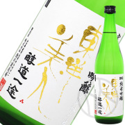 東洋美人
