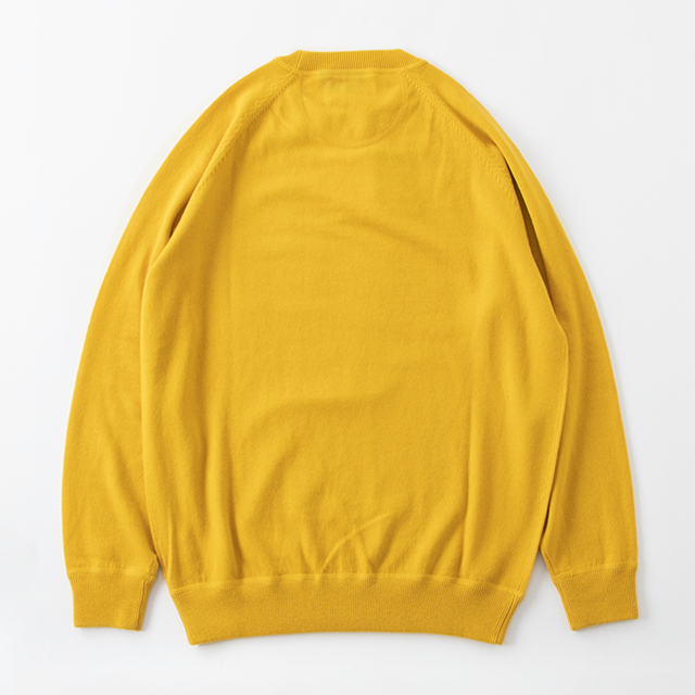 164z22_buttercup_2.png