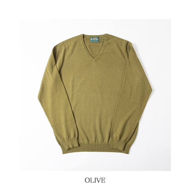 196t01_olive_1n.png