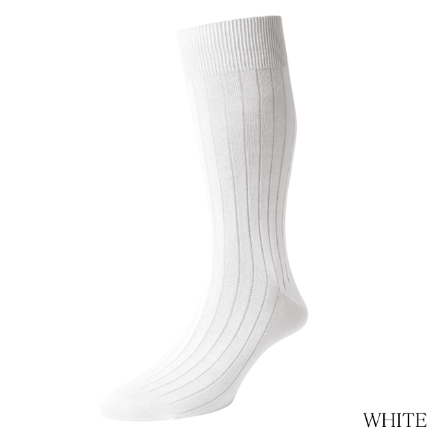 535400_white_1n.png
