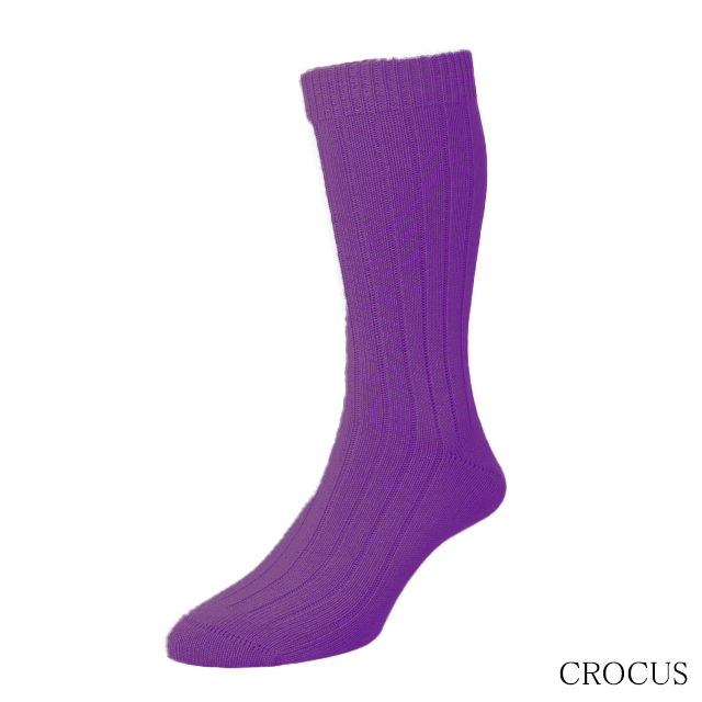 53905_crocus_1n.png
