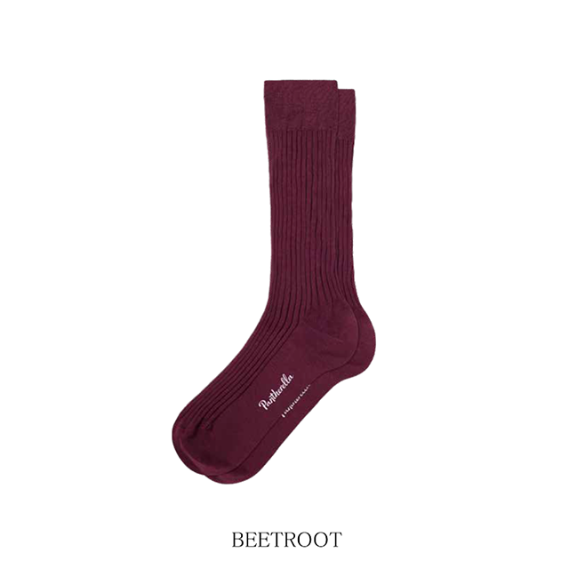 5614_beetroot_1n.png