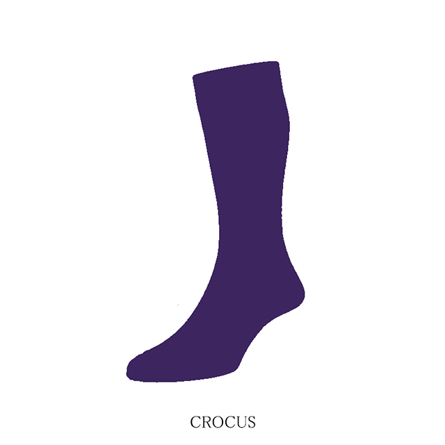 5614_crocus_2n.png