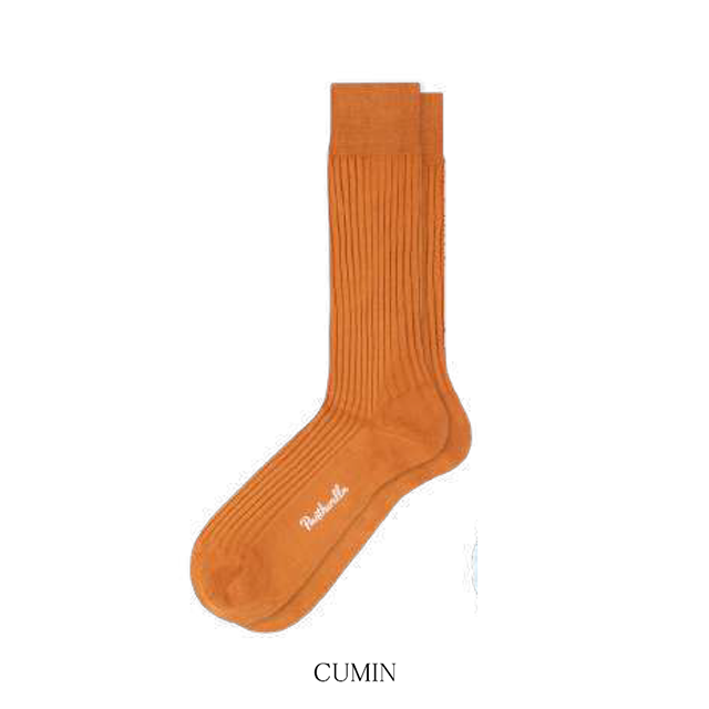 5614_cumin_2n.png