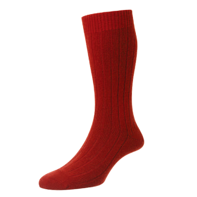 5750_winterberry_1.png