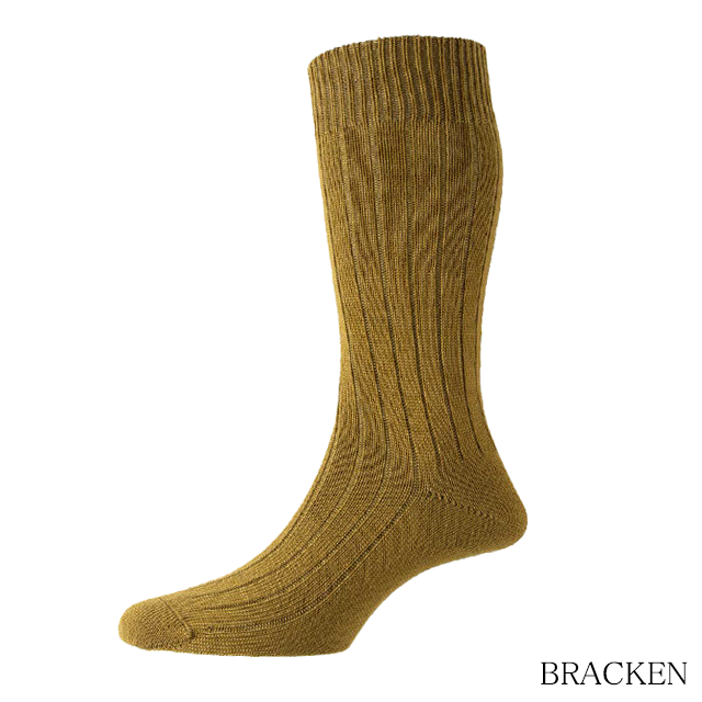 b59905_bracken_3.png