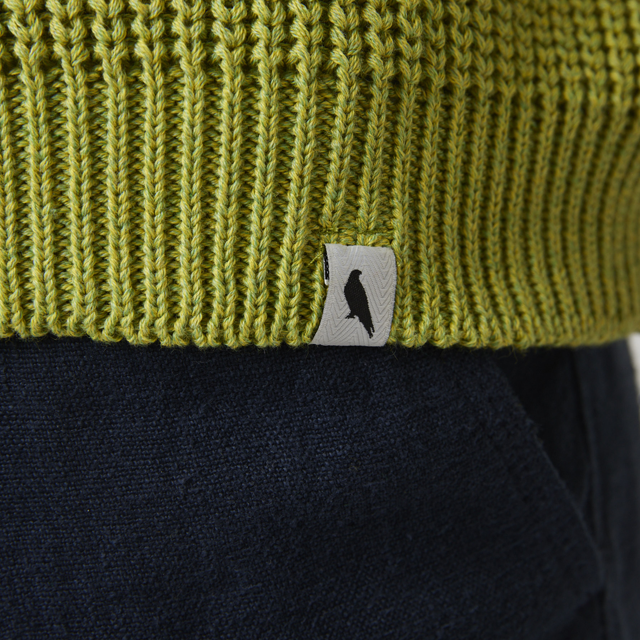 cc52026_lime_fit_4.png
