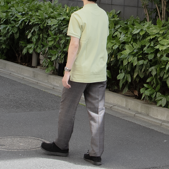 ls2008_pistachio_fit_2.png