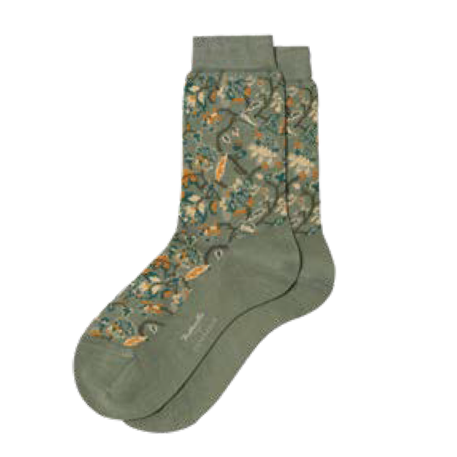 sdw351_olive_1.png