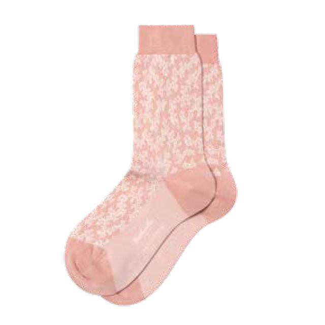 sdw353_frenchrose_1.png