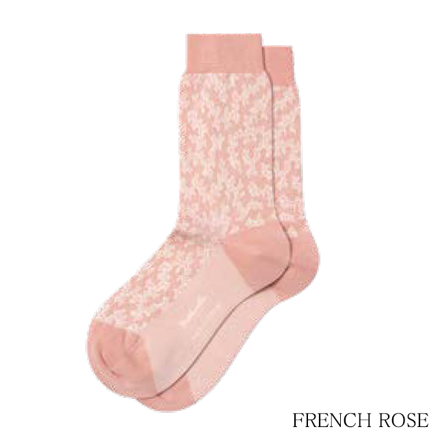 sdw353_frenchrose_1n.png