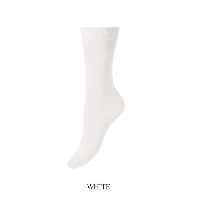 w304_white_2n.png