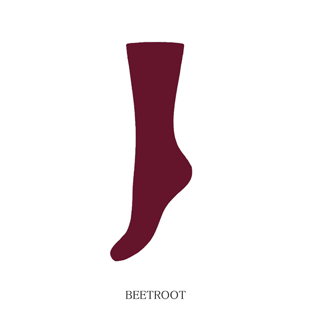 w5392_beetroot_1n.png
