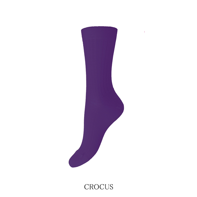 w5392_crocus_1n.png