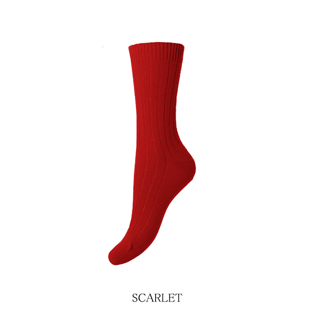 w5392_scarlet_1n.png
