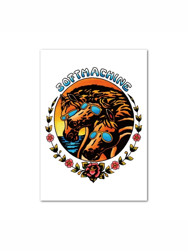 SOFTMACHINE 「SUNSET POSTER」 A3ポスター