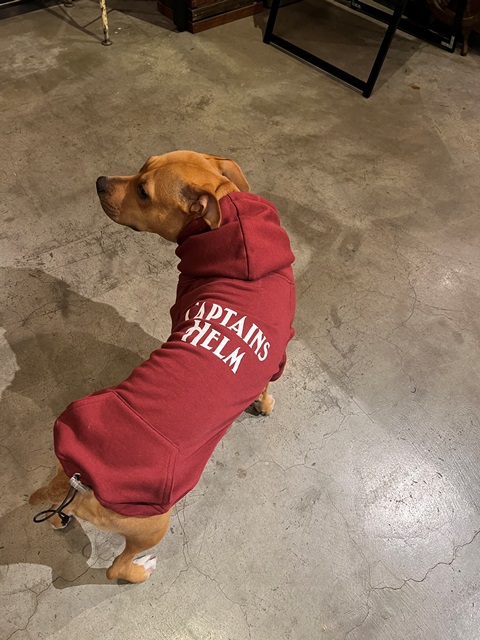 CAPTAINS HELM 「#CAPTAINS DOGS LOGO HOODIE」 ドッグウェア