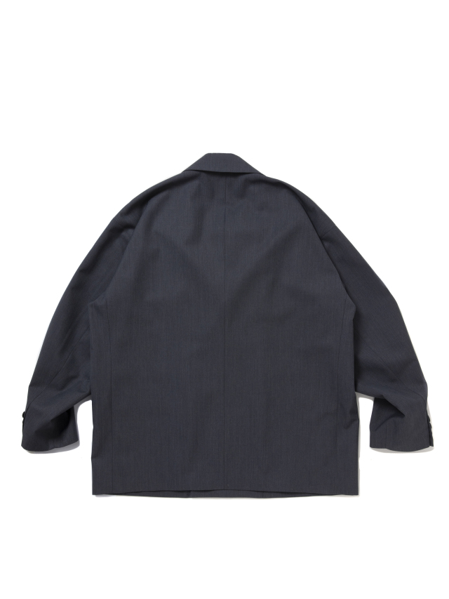 CTE-25A203_Gray_2.jpg?t=