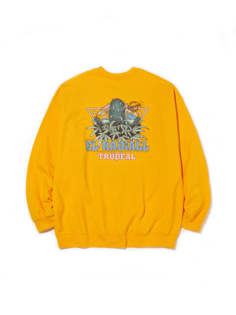 RADIALL 「TRUE DEAL POT - CREW NECK SWEATSHIRT L/S」 クルー