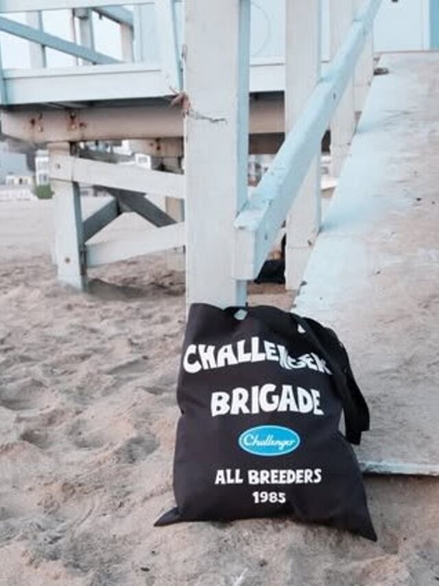 CHALLENGER 「STORM TOTE BAG」 ナイロントートバッグ