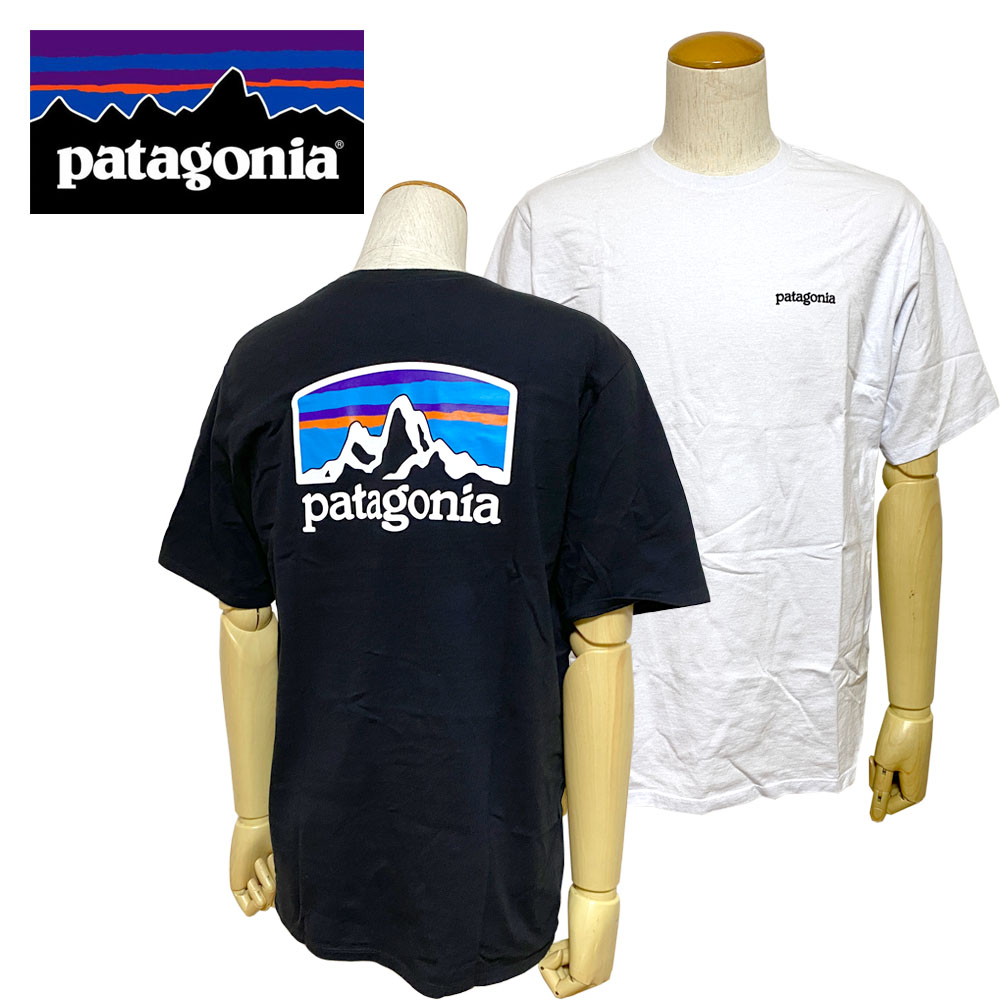 patagonia Ms Fitz Roy Horizons Responsibili Tee / メンズ フィッツロイ ホライゾンズ レスポンシビリティー【38501】2023