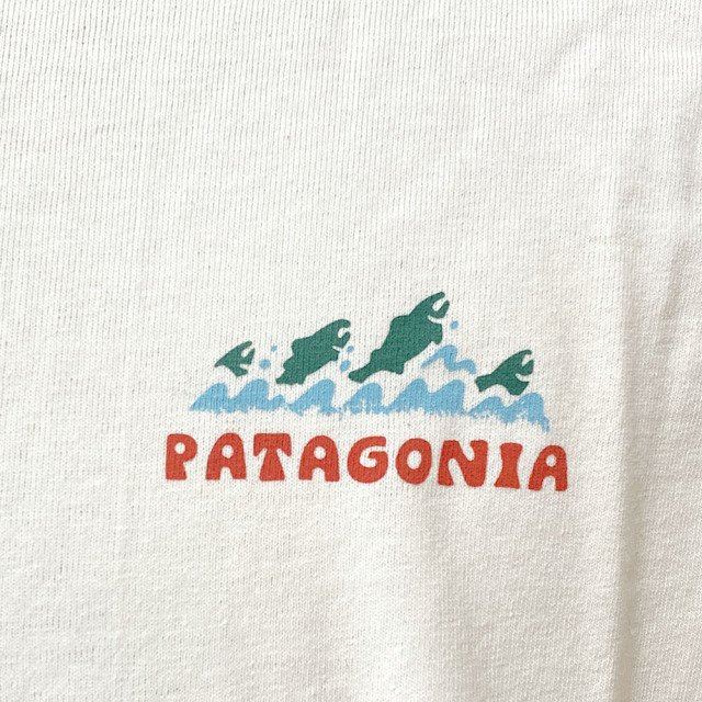 patagonia パタゴニア Ms Take A Stand Responsibili Tee メンズ
