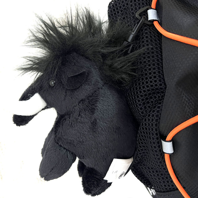MAMMUT マムート First Zip 16L ファーストジップ キッズ 2510-01542