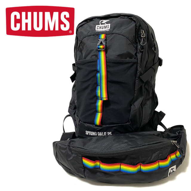CHUMS Spring Dale 25L / スプリングデール25リットル 【CH60-3548】