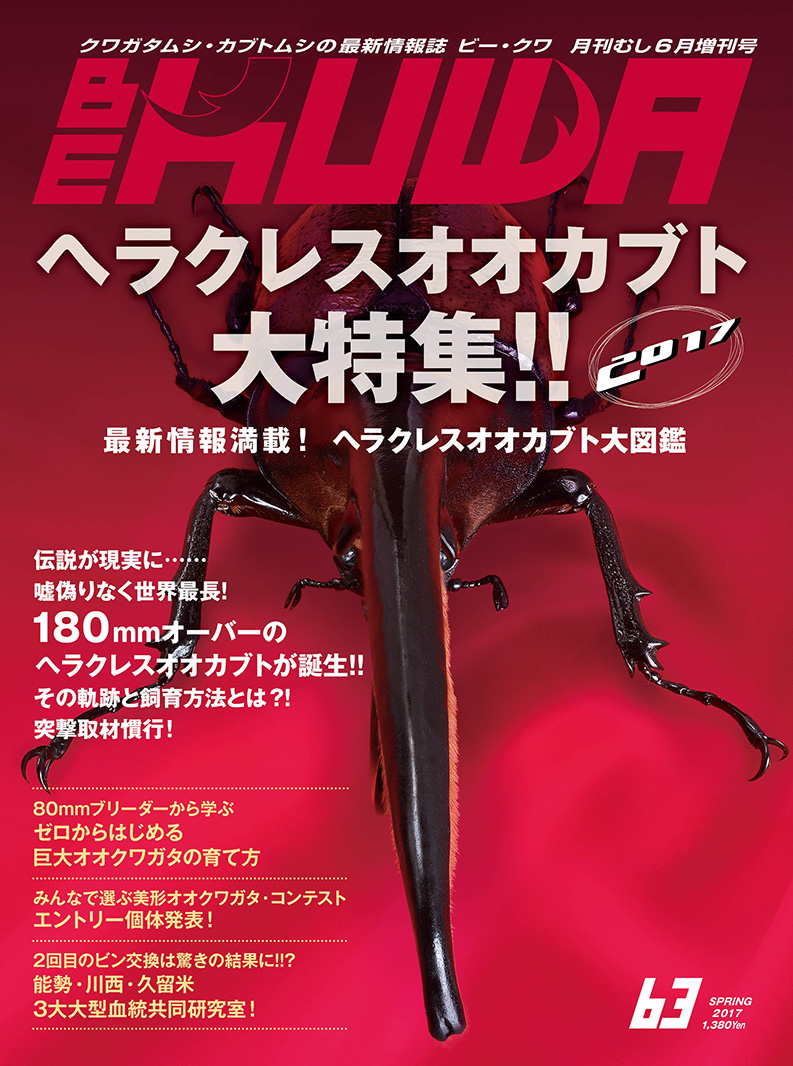 ビークワ2 ポイント15倍！BE-KUWA 63 ダイナステス マスターズ 廣島