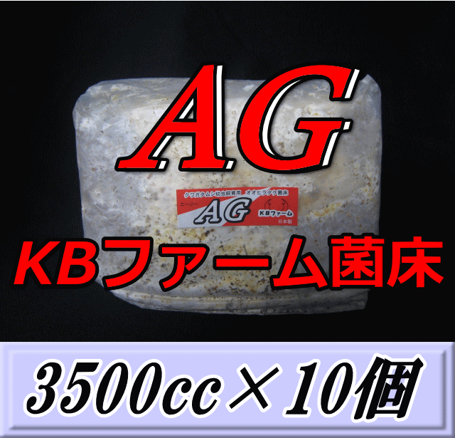 送料無料！AG （オオヒラタケ） 菌床 ブロック 3500cc×10個　KBファーム製