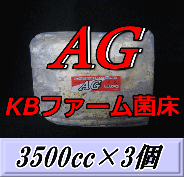 AG （オオヒラタケ） 菌床 ブロック 3500cc×3個　KBファーム製