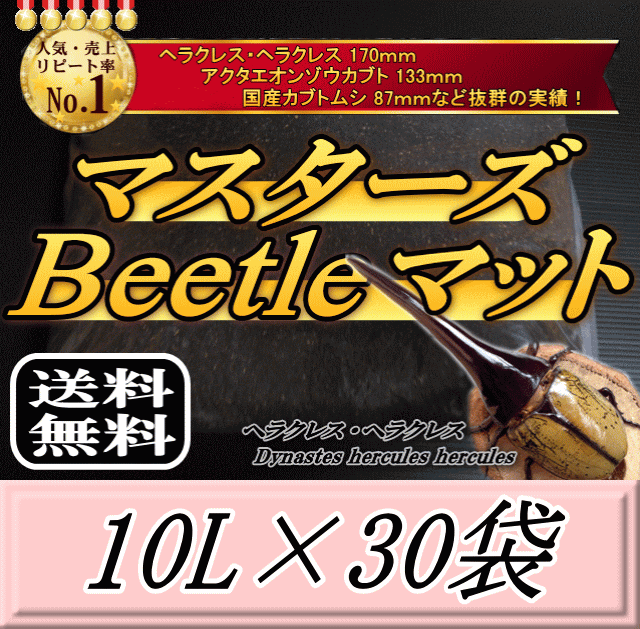 送料無料！マスターズBeetleマット 10L×30袋　ヘラクレス170mmの実績！害虫の混入99％なし！