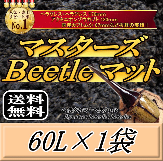 送料無料！マスターズBeetleマット 60L×1袋　ヘラクレス170mmの実績！害虫の混入99％なし！